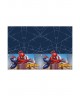 8 PZ PIATTO SPIDERMAN 20 CM