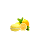 Maxtris Macarons