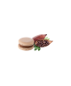 Maxtris Macarons